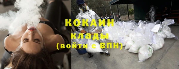 ПСИЛОЦИБИНОВЫЕ ГРИБЫ Михайловка