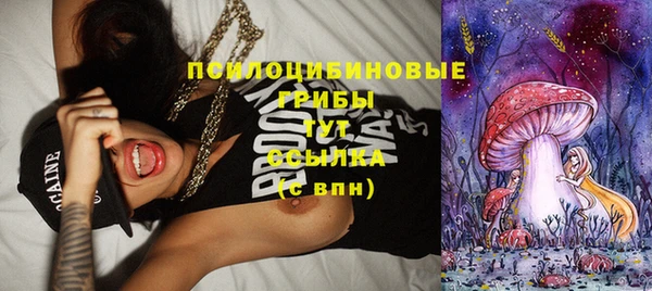 ПСИЛОЦИБИНОВЫЕ ГРИБЫ Михайловка