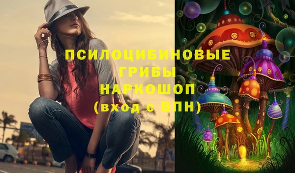 ПСИЛОЦИБИНОВЫЕ ГРИБЫ Михайловка