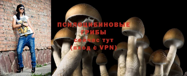 ПСИЛОЦИБИНОВЫЕ ГРИБЫ Михайловка